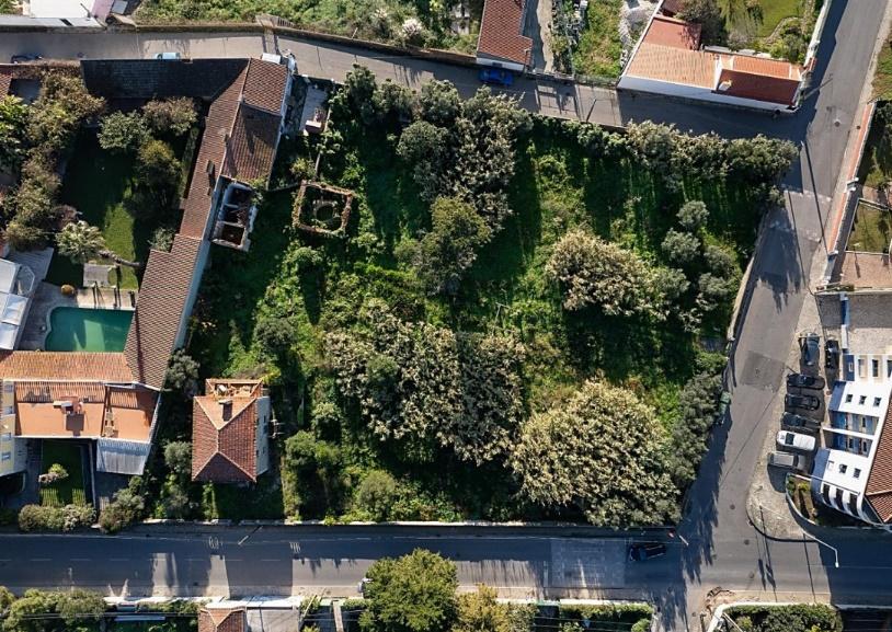 Land in Sintra (89849) — photograph 2