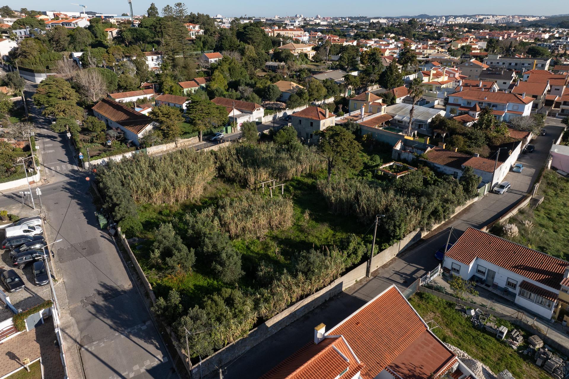 Land in Sintra (89849) — photograph 3