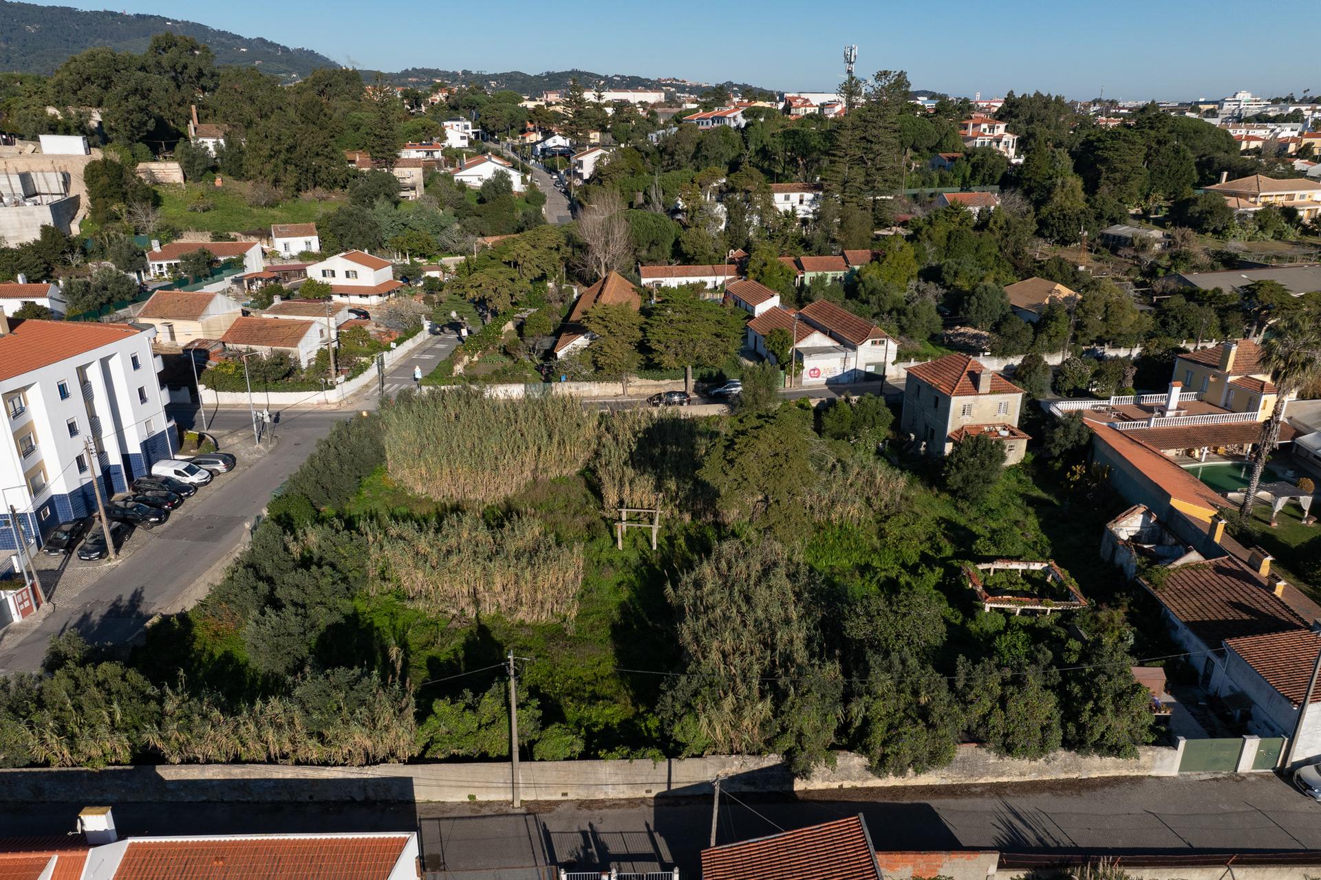 Land in Sintra (89849) — photograph 4