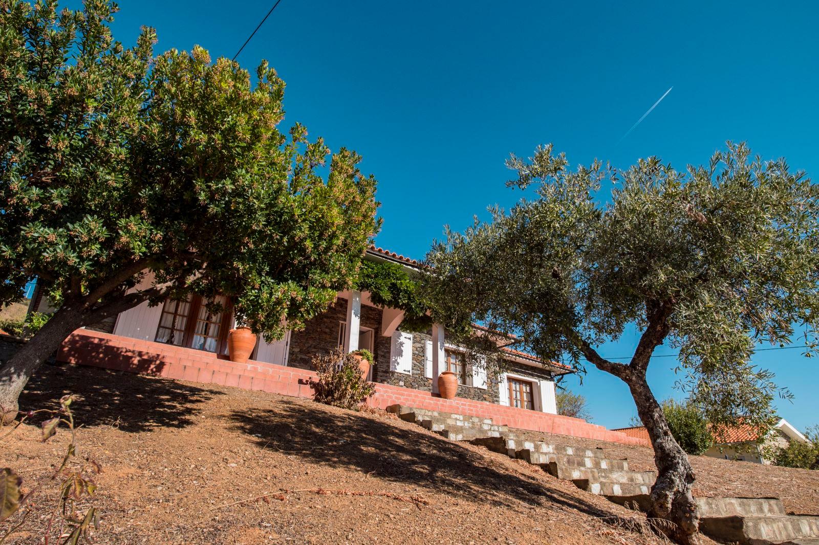Farm in Mogadouro — photograph 5