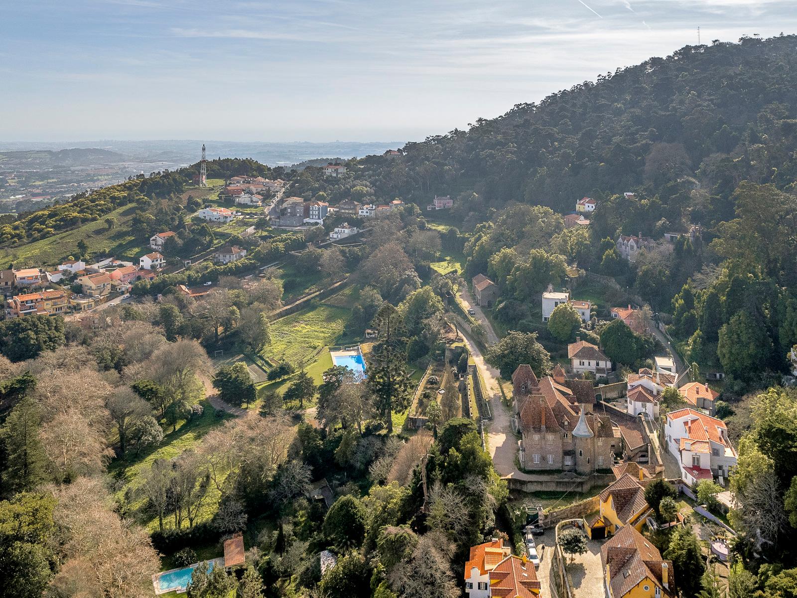 Farm in Sintra (77659) — photograph 2