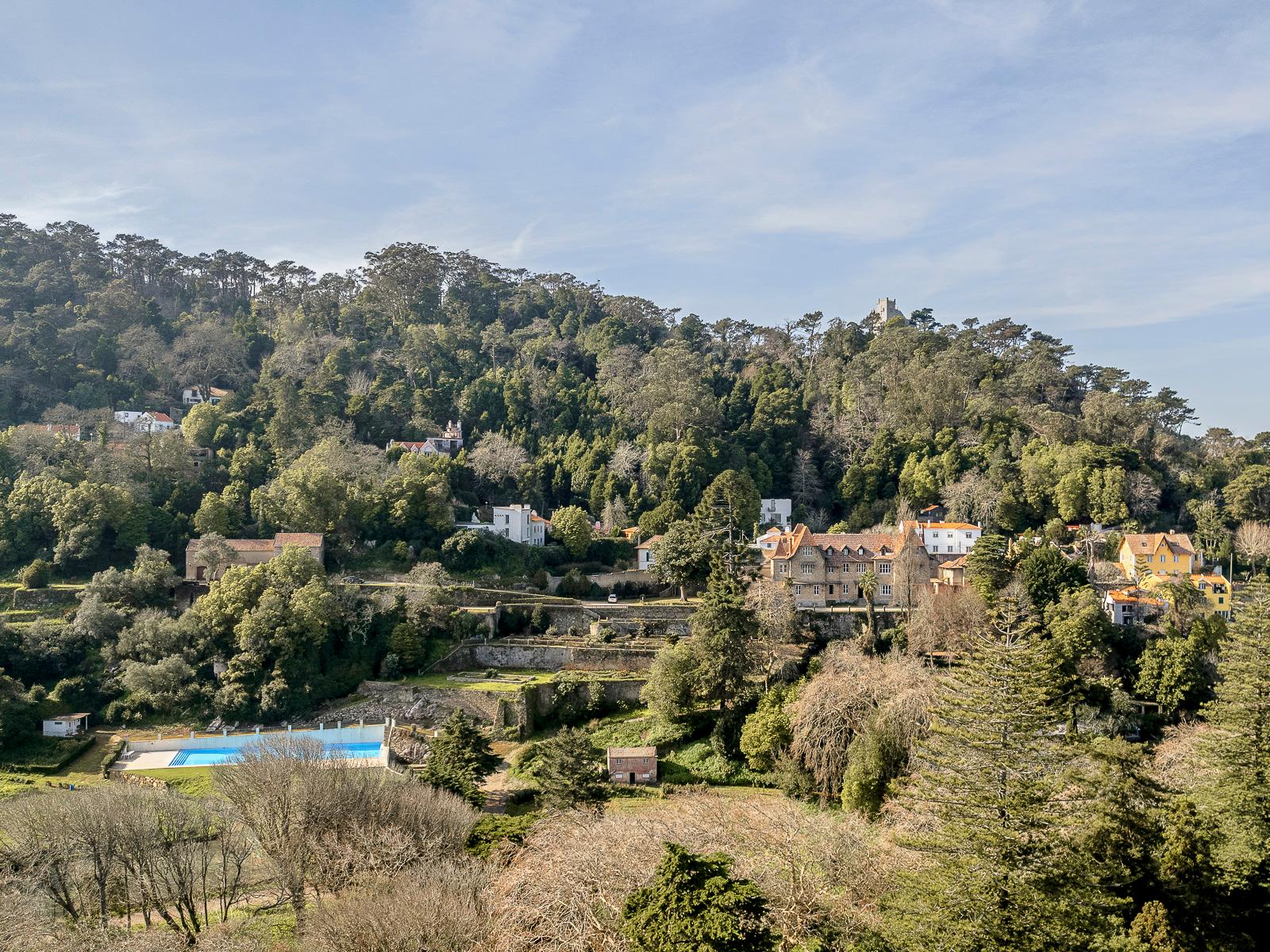 Farm in Sintra (77659) — photograph 5