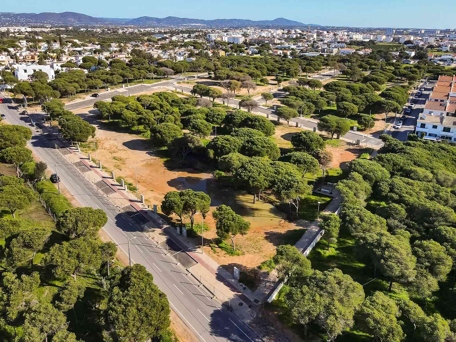 Land in Faro (69281) — photograph 2