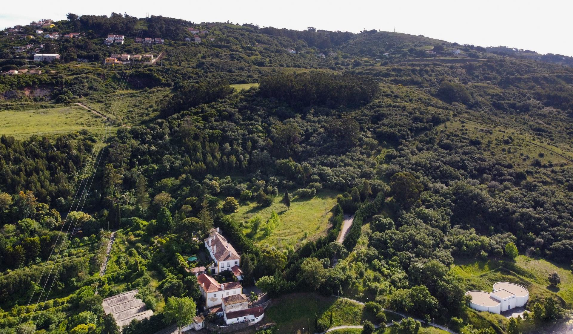 Land in Loures — photograph 3