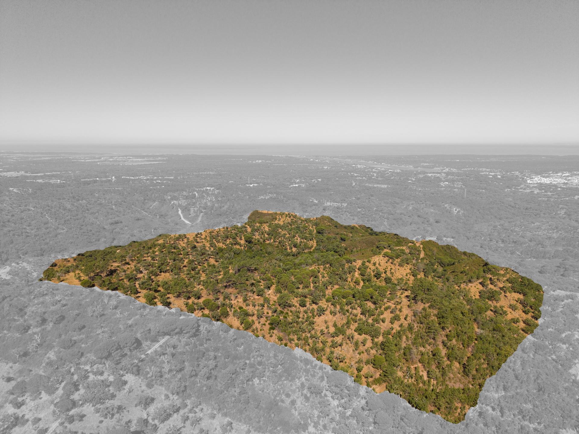 Land in Grândola (98225) — photograph 3