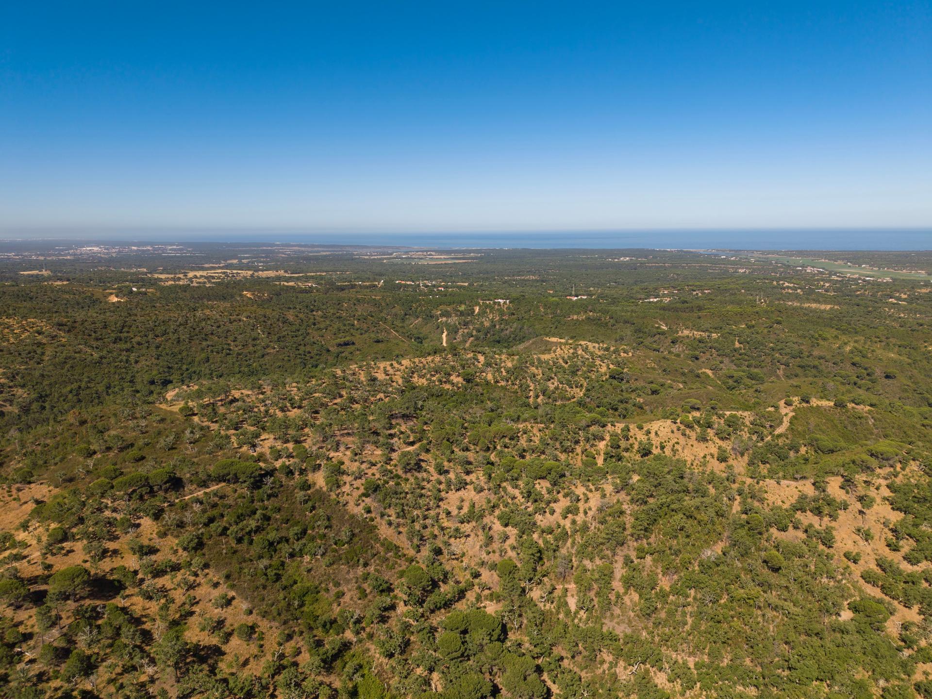 Land in Grândola (98225) — photograph 4