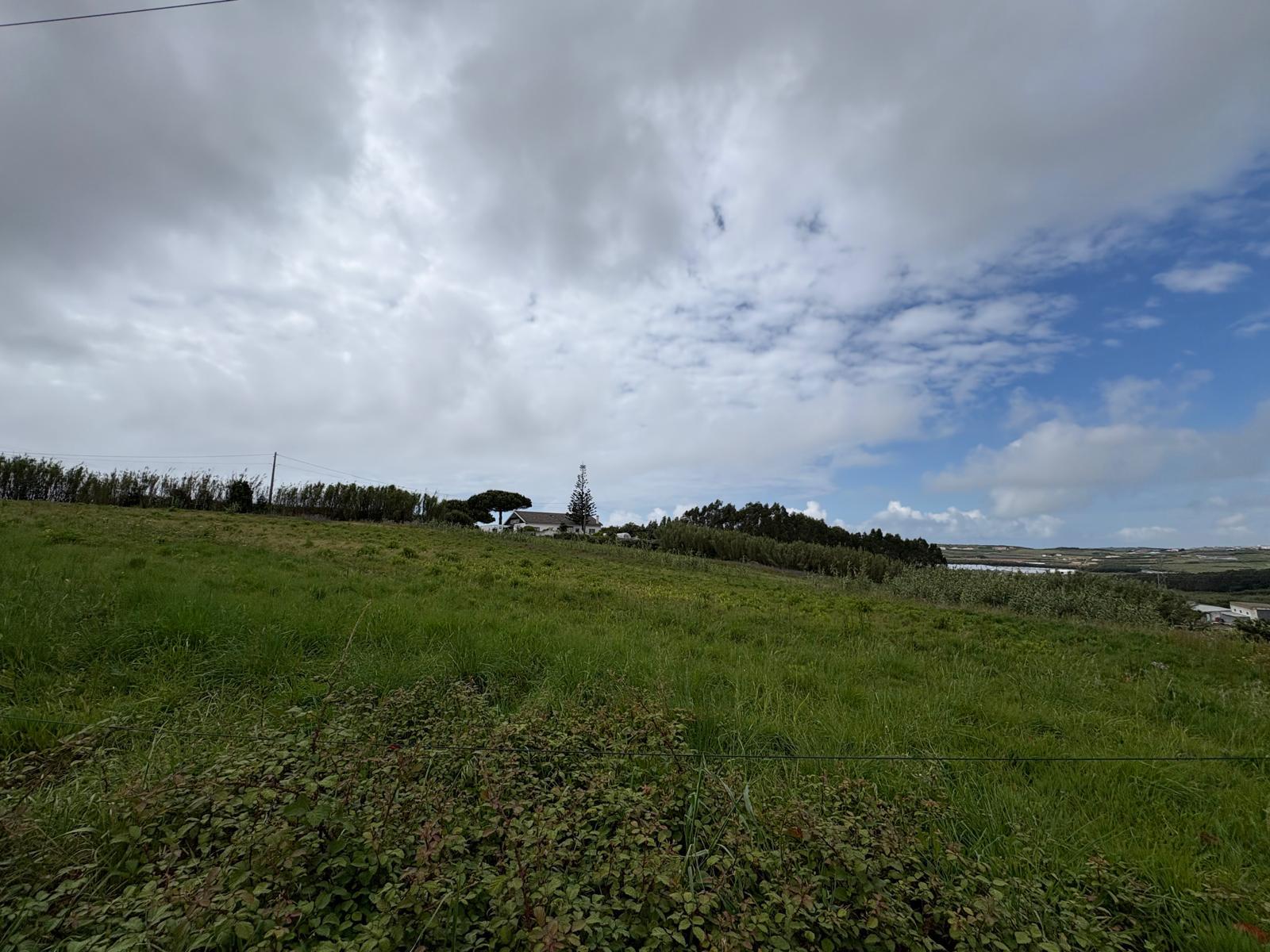 Land in Torres Vedras — photograph 2