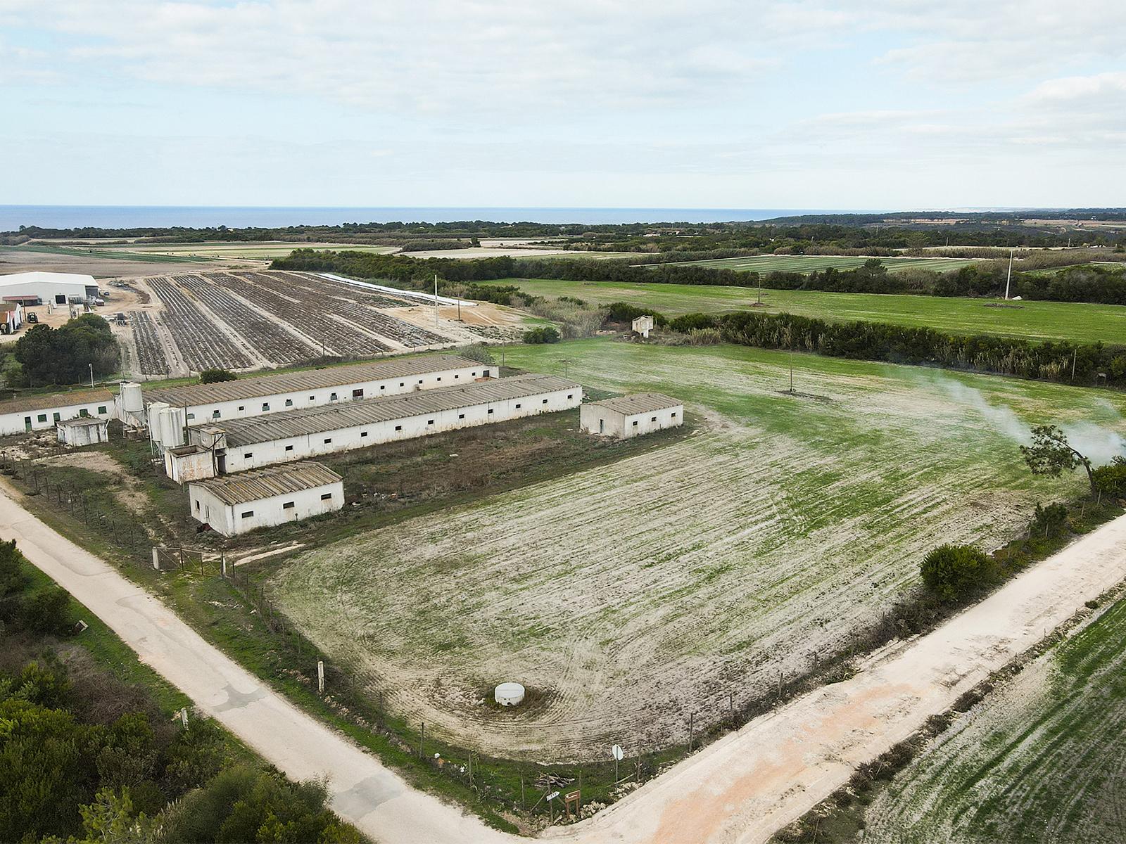 Country Estate in Aljezur (61812) — photograph 3