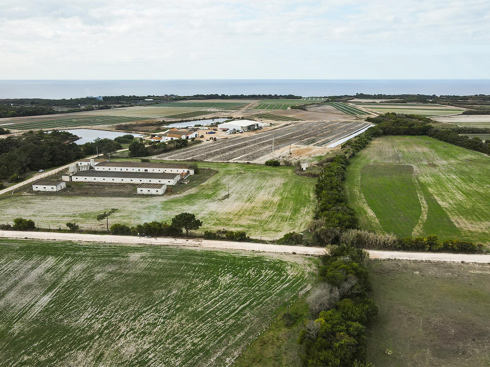 Land in Aljezur (65762) — photograph 3