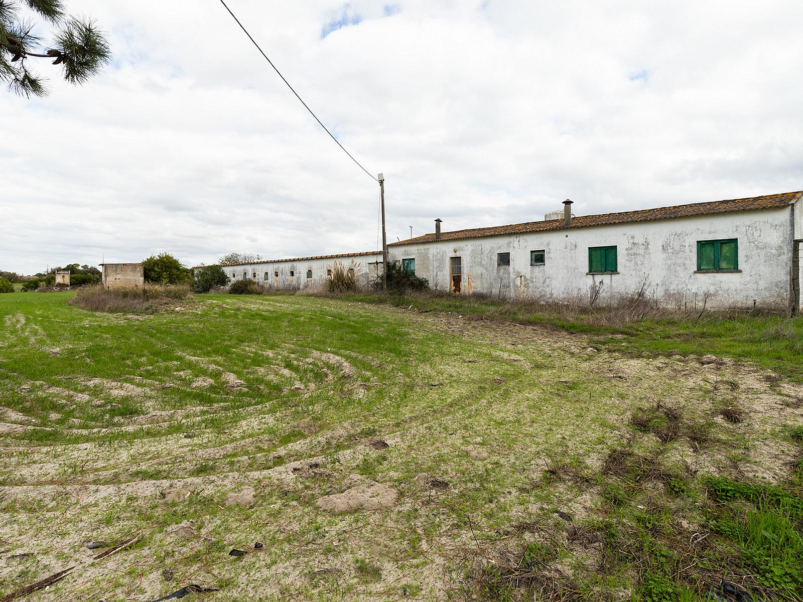 Land in Aljezur (65762) — photograph 5