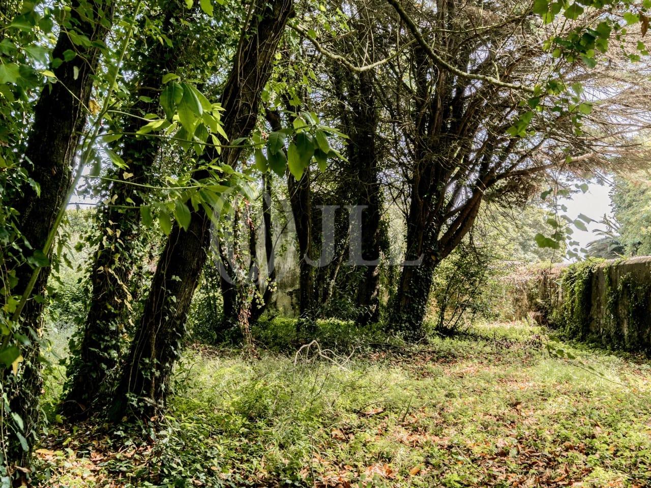 Land in Sintra (82297) — photograph 5
