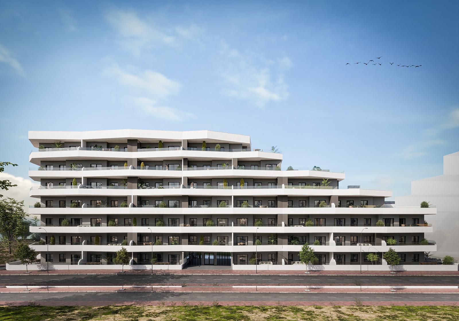 Apartments in San Miguel de Salinas Centro, San Miguel de Salinas — photograph 4